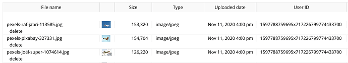 Screen Shot 2020-11-11 at 4.03.54 PM
