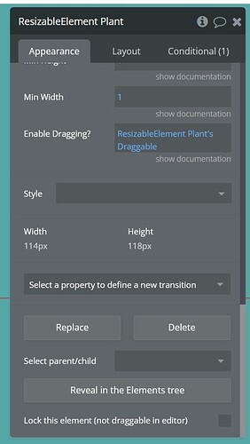 Resizable Image Setup (Appearance Tab, Screenshot 3)