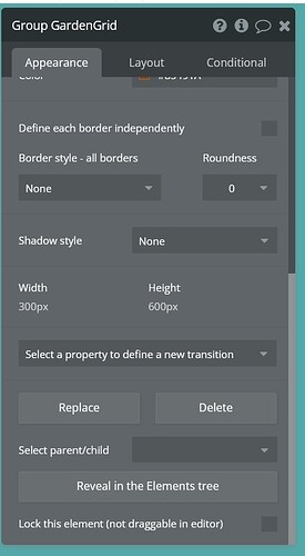 Image Container Setup (Appearance Tab, Screenshot 2)