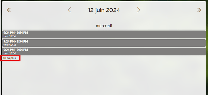 Capture d'écran 2024-07-18 calendar_vue_day