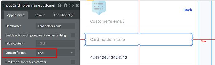 CardHolder Name - text